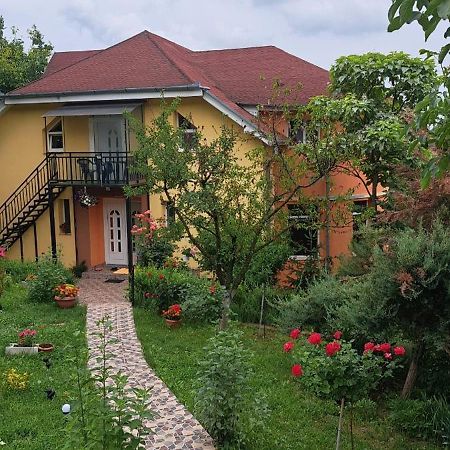 Casa Liana Hotell Oradea Exteriör bild